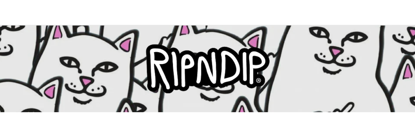 RIPNDIP