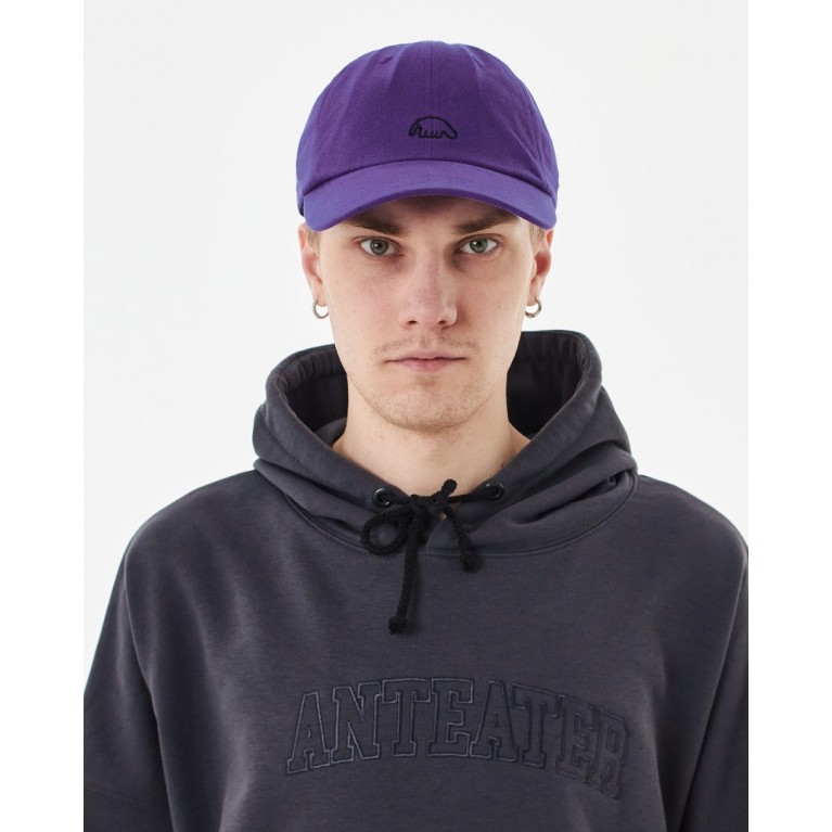 Кепка Anteater 6Panel-Violet