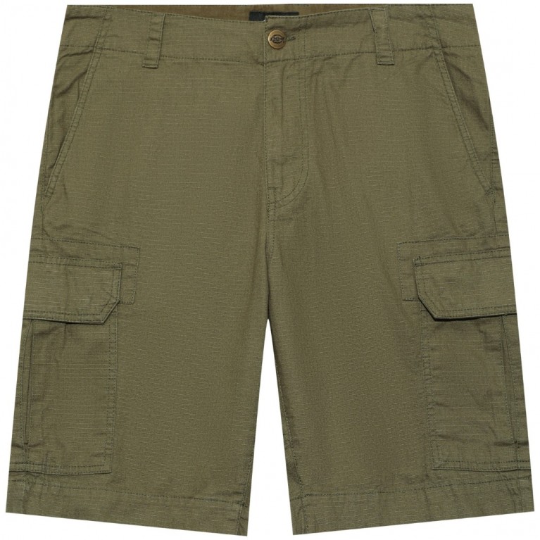 Шорты м Dickies New York Shorts Dark Olive