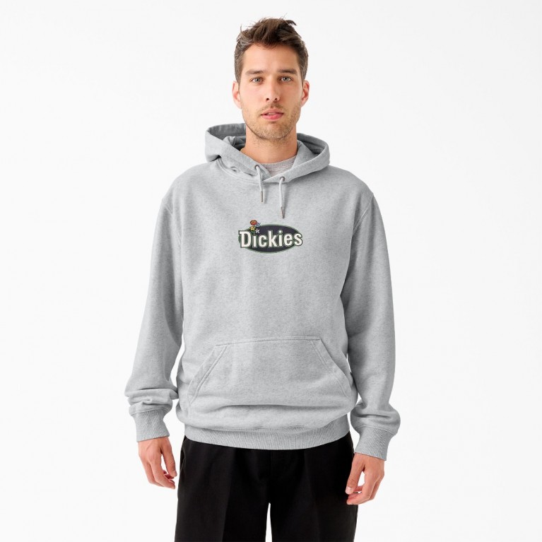 Толстовка Dickies TOM KNOX GRAPHIC FLEECE HOODIE Ash Gray