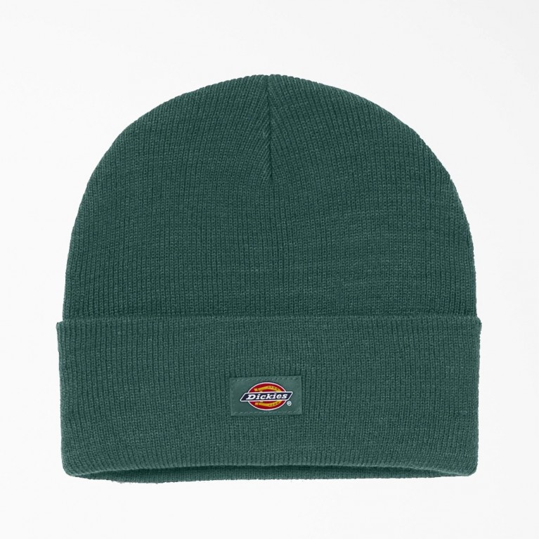 Шапка Dickies Acrylic Beanie Hat Knit Beanie Forest