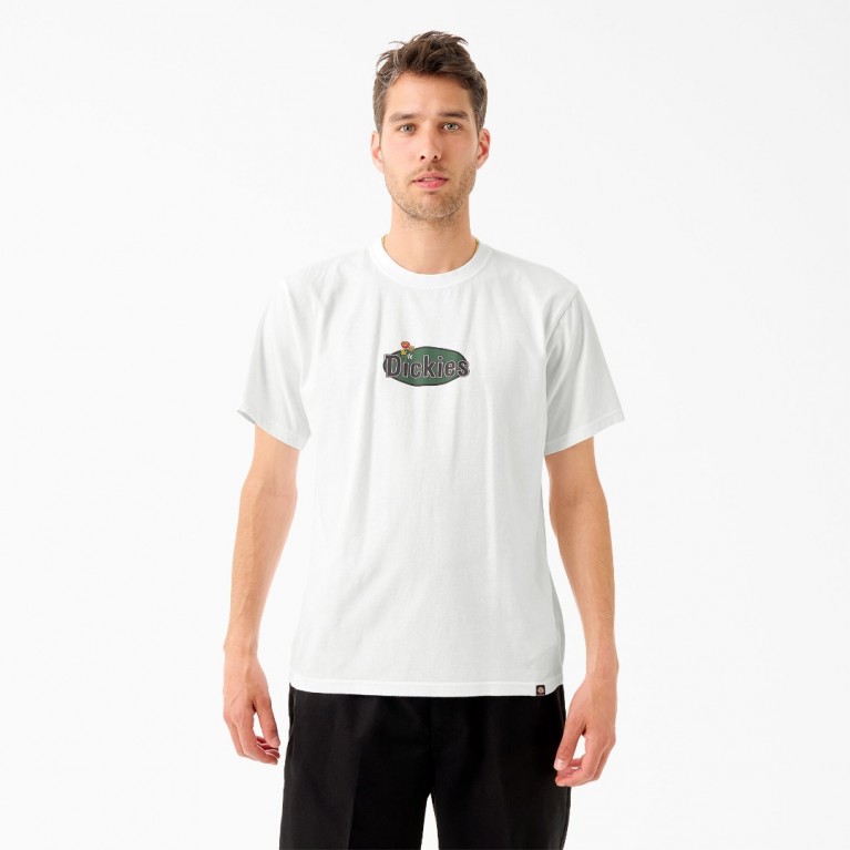 Футболка Dickies TOM KNOX GRAPHIC SHORT SLEEVE TEE White