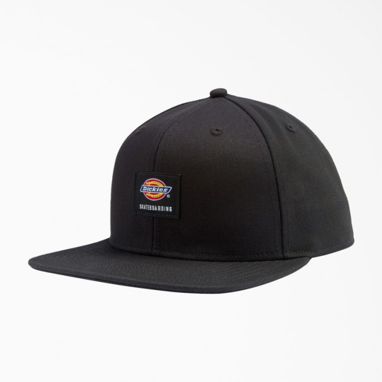 Кепка Dickies Skateboarding Flat Bill Cap Black