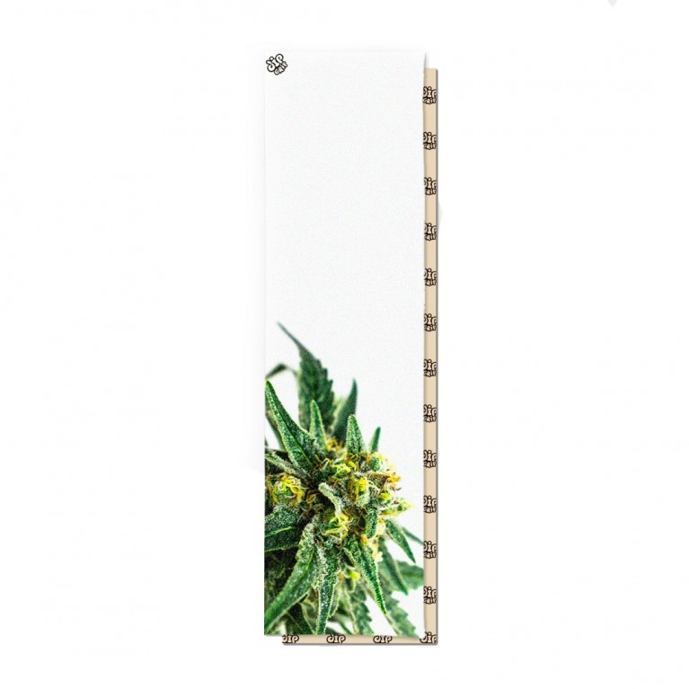 Шкурка для скейтборда Dip Grip WHITE GRASS