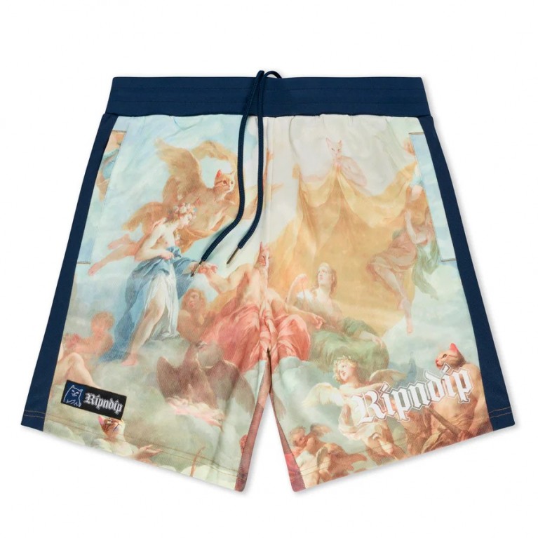 Шорты RIPNDIP Heavens Waiting Soccer Shorts (Navy Multi) 