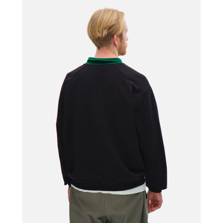 Толстовка ANTEATER Crewneck-Polo-Black-Green