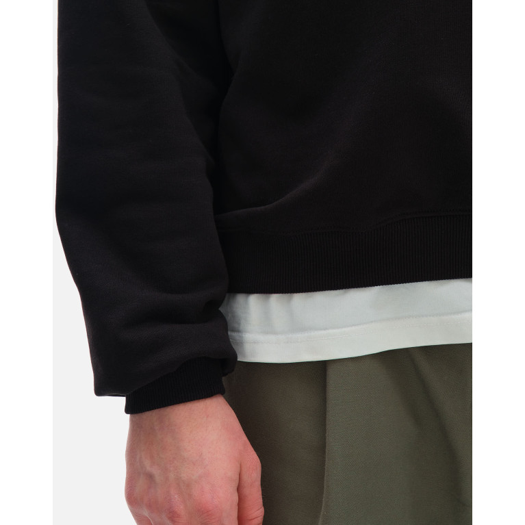 Толстовка ANTEATER Crewneck-Polo-Black-Green