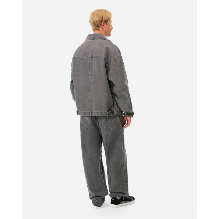 Брюки Anteater Loose-Jeans-Grey