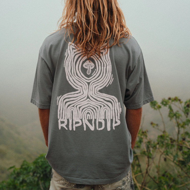 Футболка Ripndip CTRL Tee Charcoal