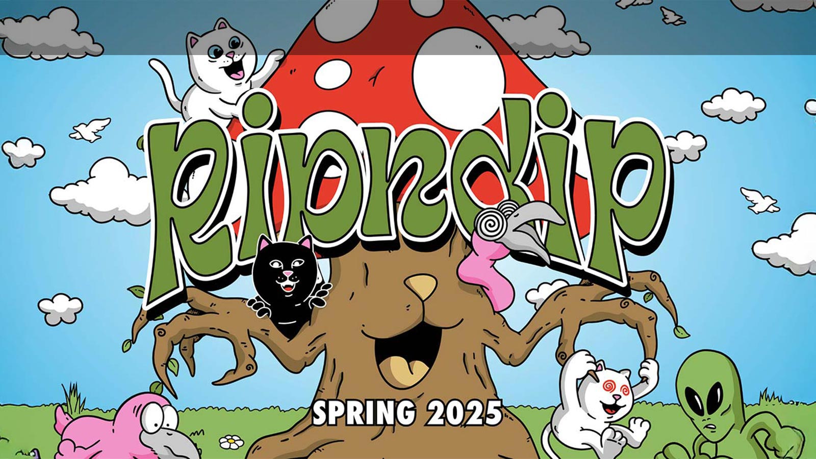 Купить Ripndip Spring 2025