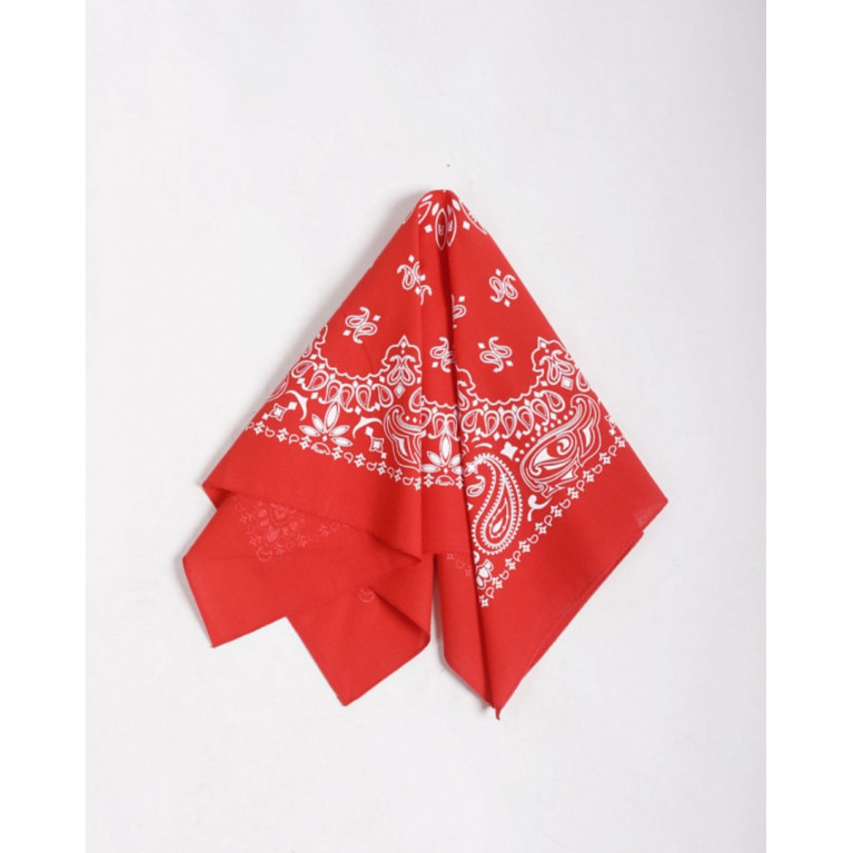 Бандана Anteater Bandana_Red