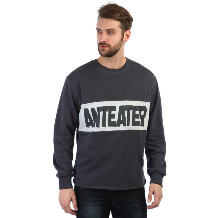Толстовка Anteater hoodlong-combo_grey