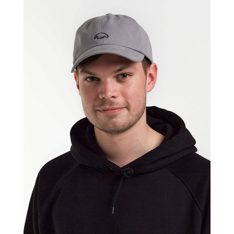 Кепка Anteater 6Panel-Grey