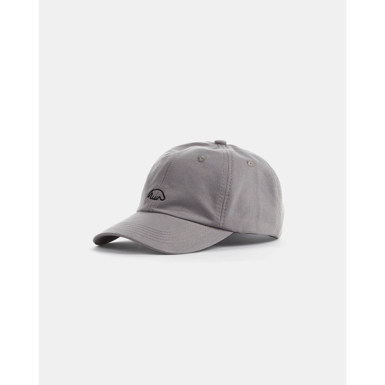 Кепка Anteater 6Panel-Grey