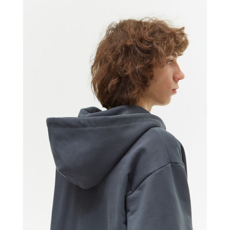 Толстовка ANTEATER Hoodie Zip Grey