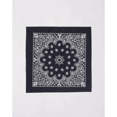 Бандана Anteater Bandana_Black