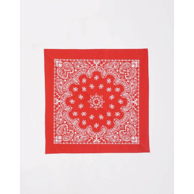 Бандана Anteater Bandana_Red