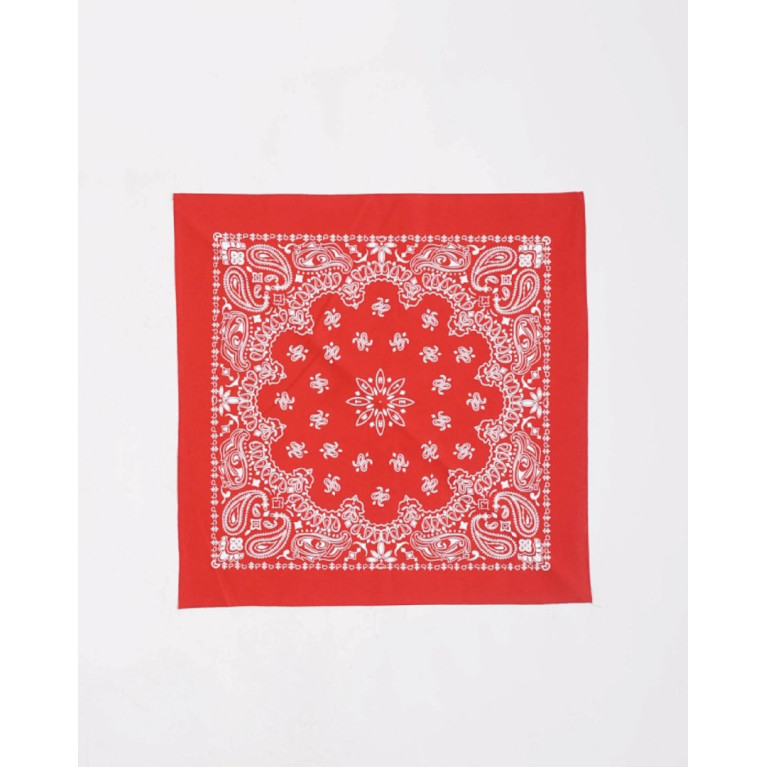 Бандана Anteater Bandana_Red