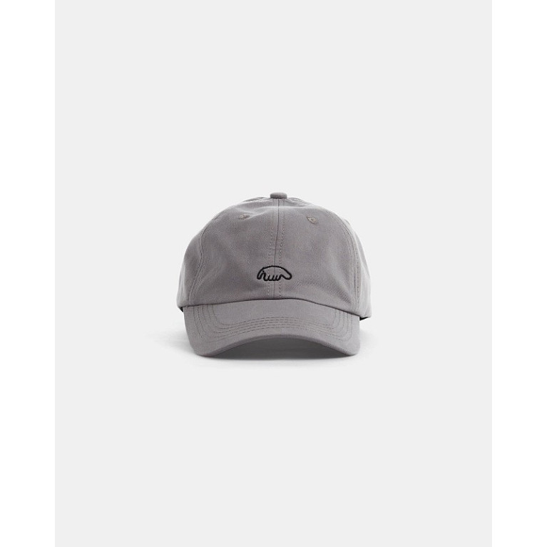 Кепка Anteater 6Panel-Grey