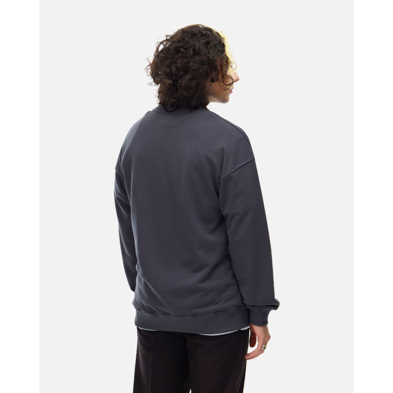 Толстовка Anteater Crewneck Grey Black Logo