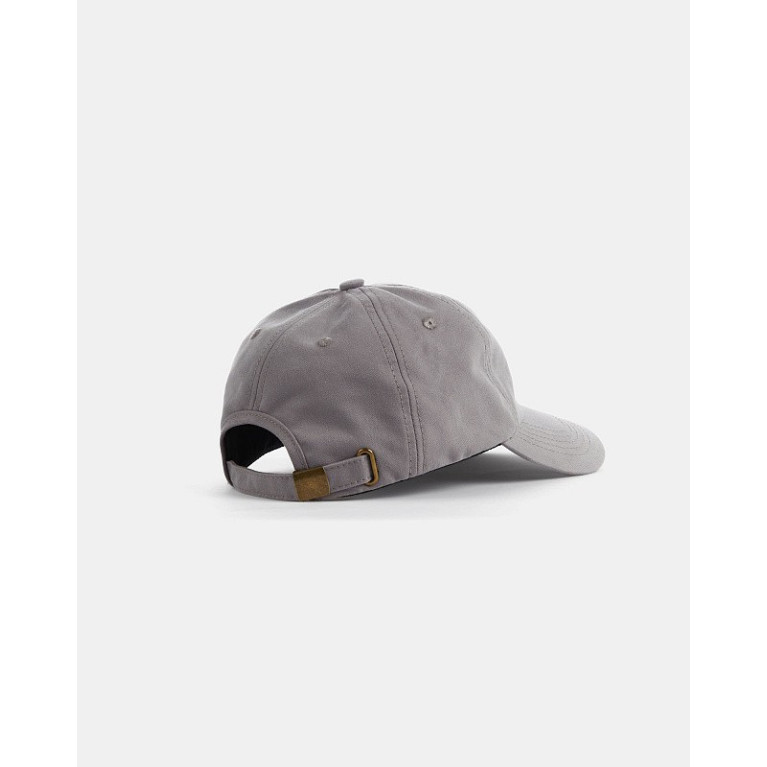 Кепка Anteater 6Panel-Grey
