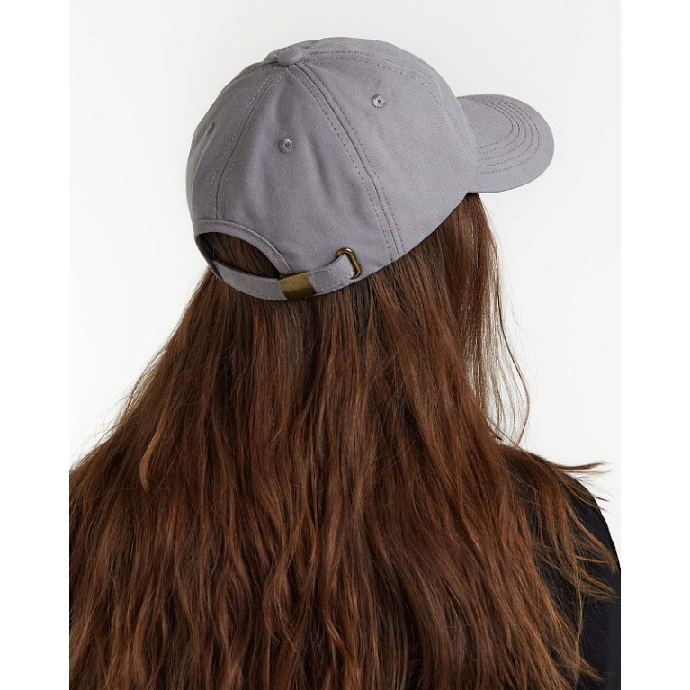 Кепка Anteater 6Panel-Grey
