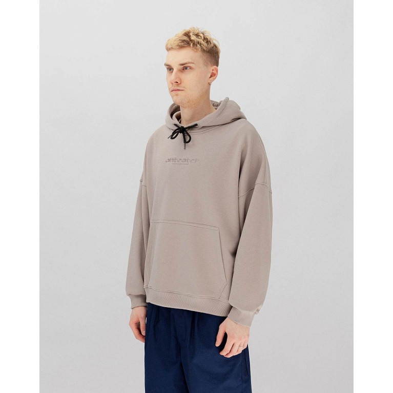 Толстовка Anteater Hoodie Cement