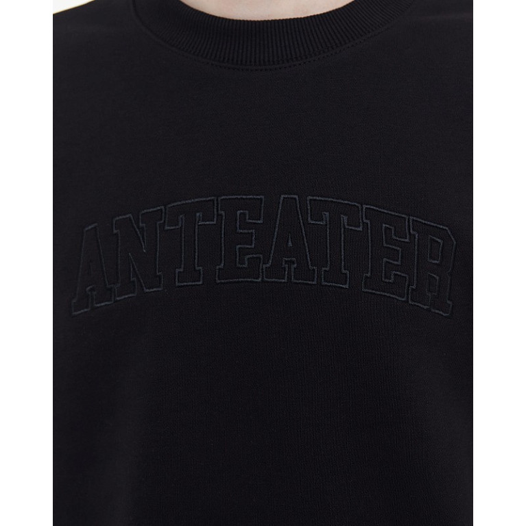 Толстовка Anteater Crewneck-Black