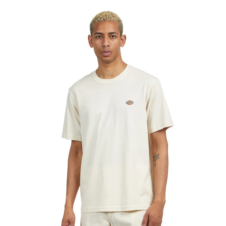 Футболка DICKIES SS MAPLETON TEE WHITECAP GRAY