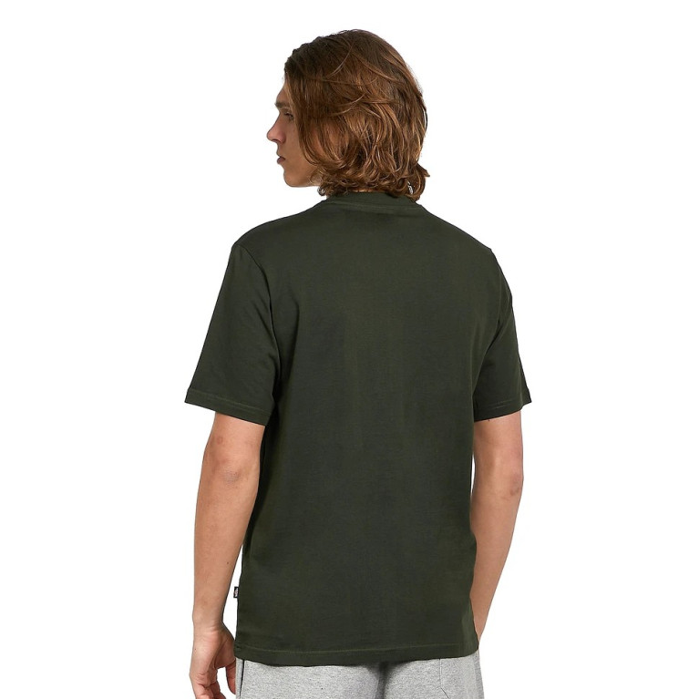 Футболка DICKIES SS MAPLETON TEE OLIVE GREEN