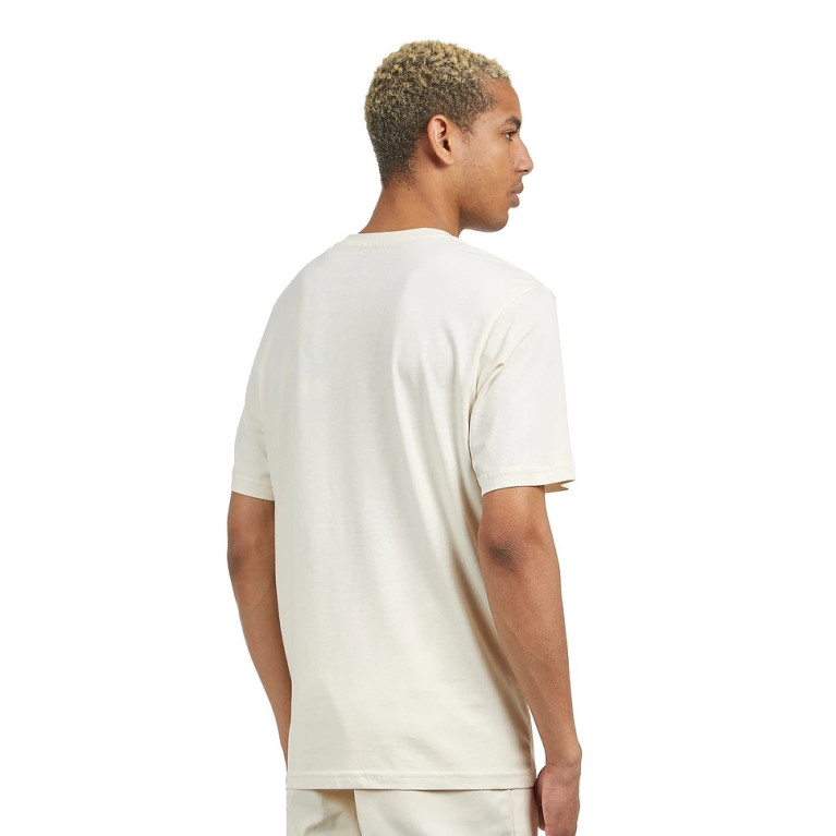 Футболка DICKIES SS MAPLETON TEE WHITECAP GRAY