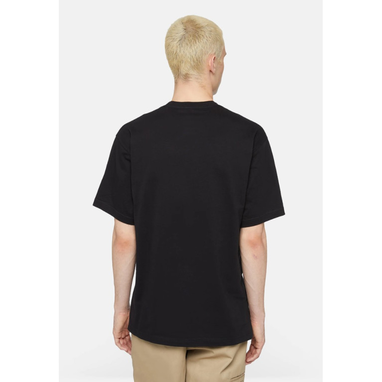 Футболка DICKIES PAXICO GRAPHIC SS TEE KNIT BLACK