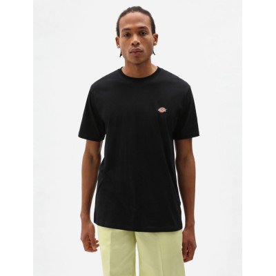 Футболка DICKIES MAPLETON SHORT SLEEVE TEE Black
