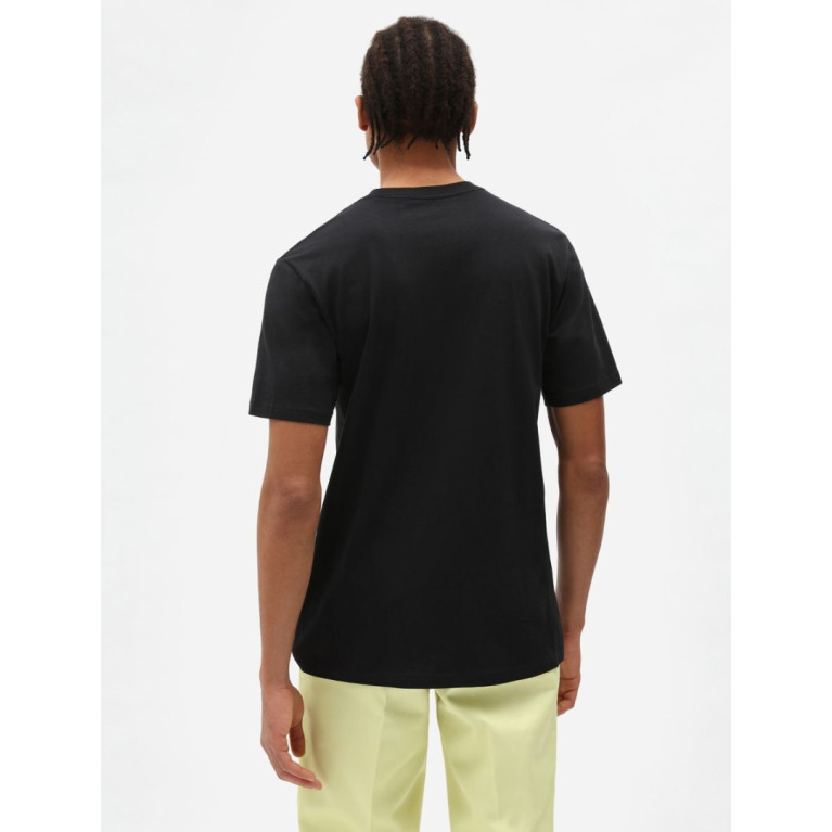 Футболка DICKIES MAPLETON SHORT SLEEVE TEE Black