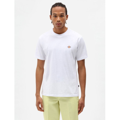 Футболка DICKIES MAPLETON SHORT SLEEVE TEE White
