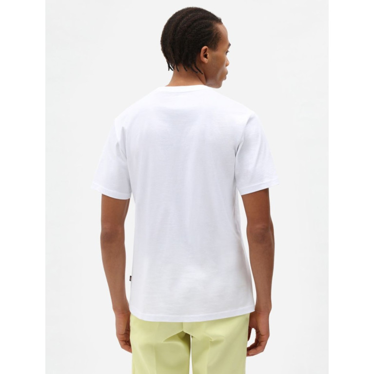 Футболка DICKIES MAPLETON SHORT SLEEVE TEE White