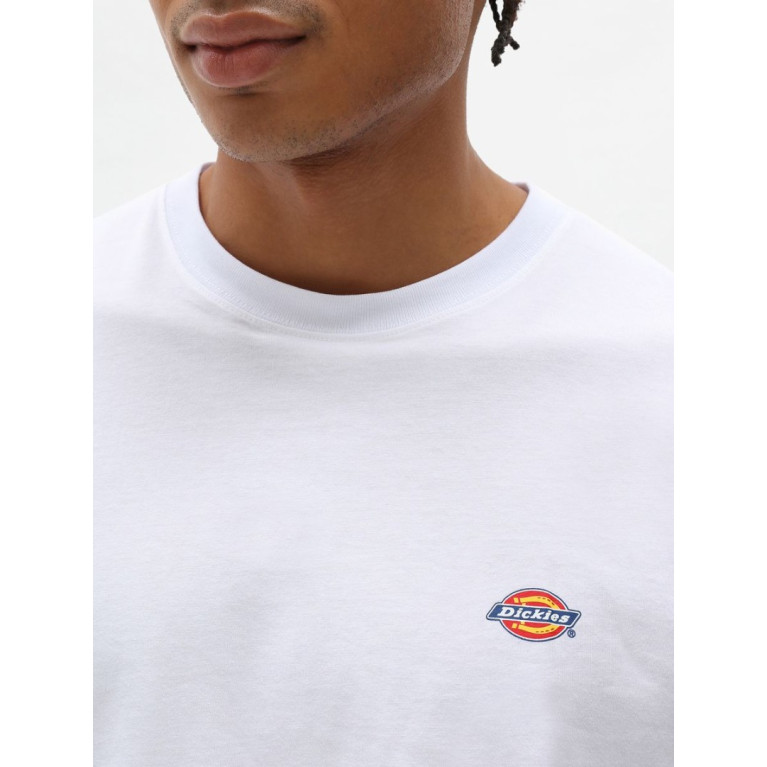 Футболка DICKIES MAPLETON SHORT SLEEVE TEE White