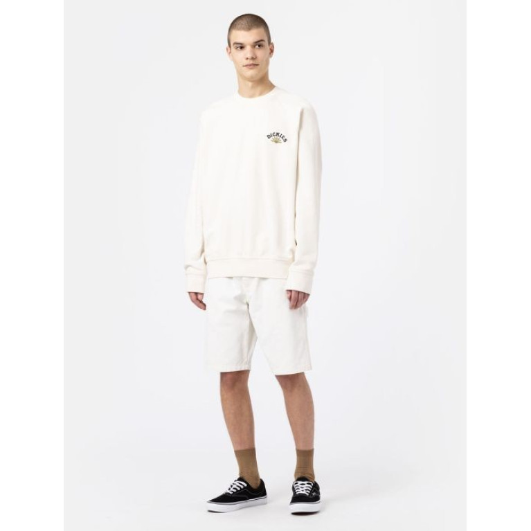Шорты DICKIES DUCK FRONT CHAP SHORT Stonewashed Cloud
