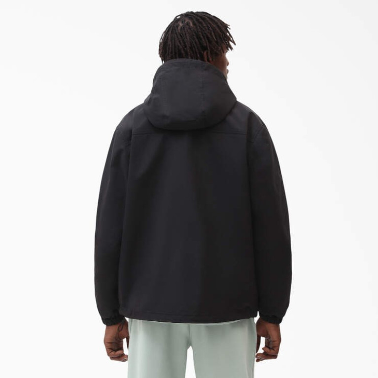 Куртка DICKIES GLACIER VIEW ANORAK Black