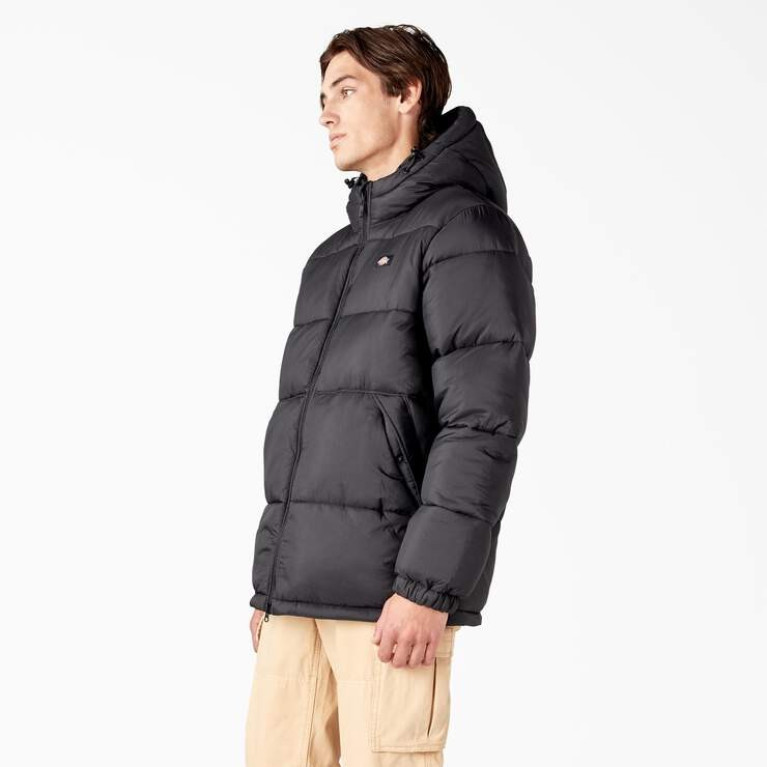 Куртка DICKIES WALDENBURG HOODED JACKET Black