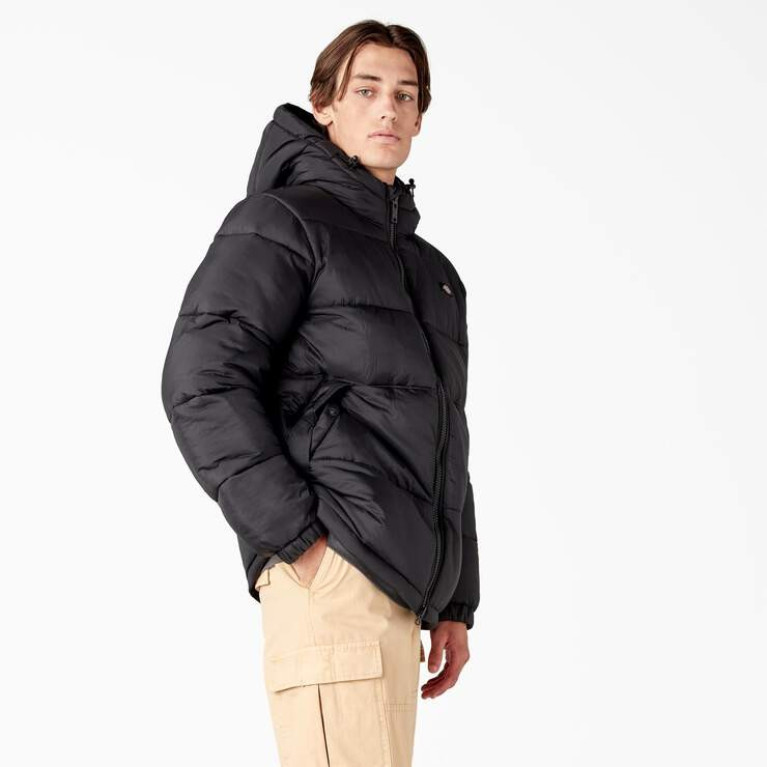 Куртка DICKIES WALDENBURG HOODED JACKET Black