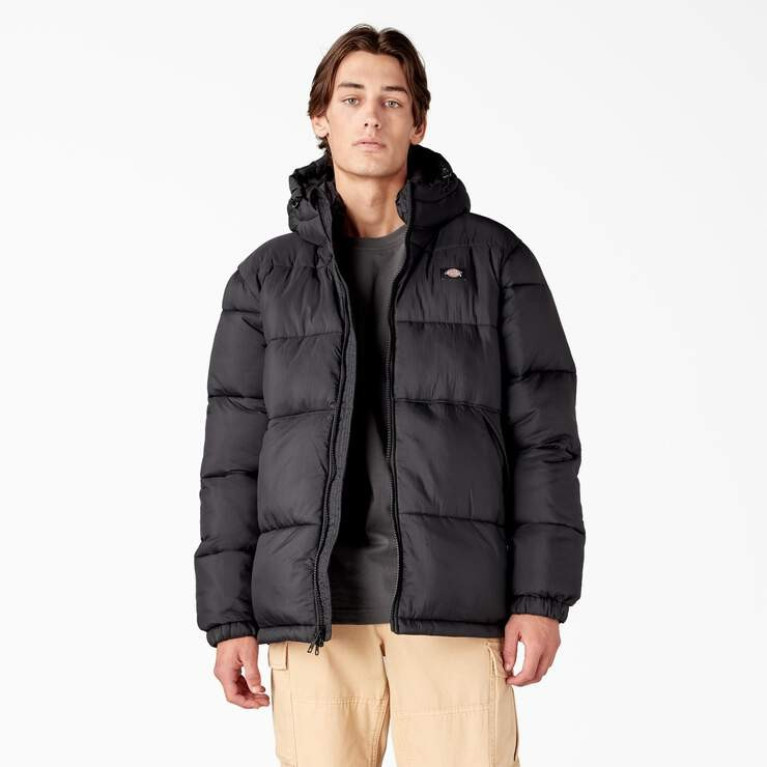 Куртка DICKIES WALDENBURG HOODED JACKET Black