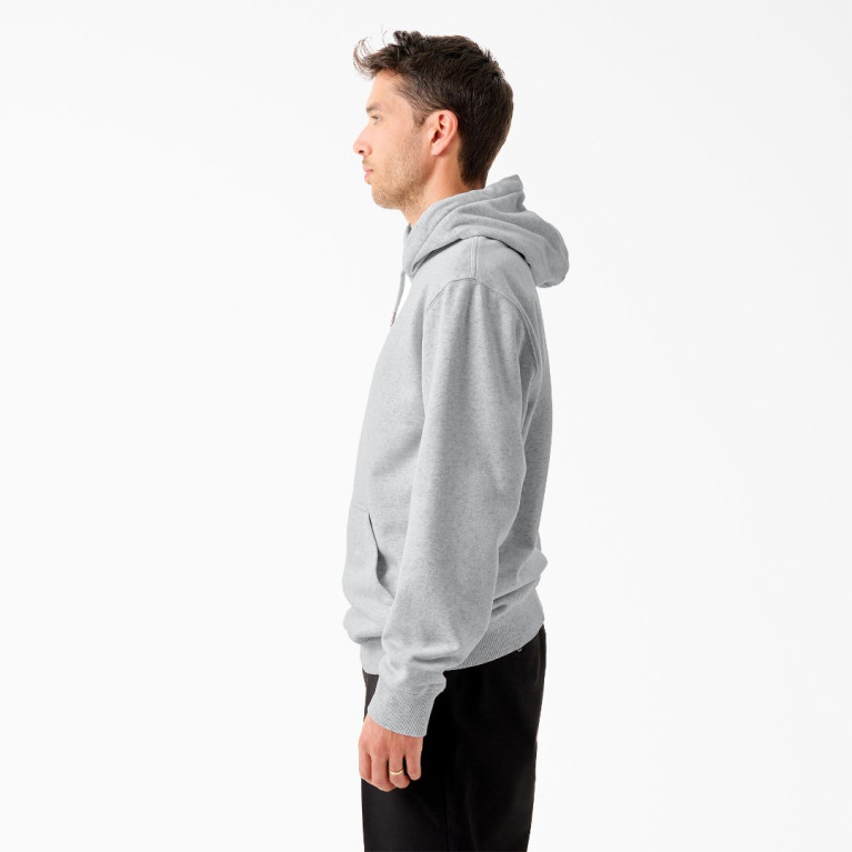 Толстовка Dickies TOM KNOX GRAPHIC FLEECE HOODIE Ash Gray