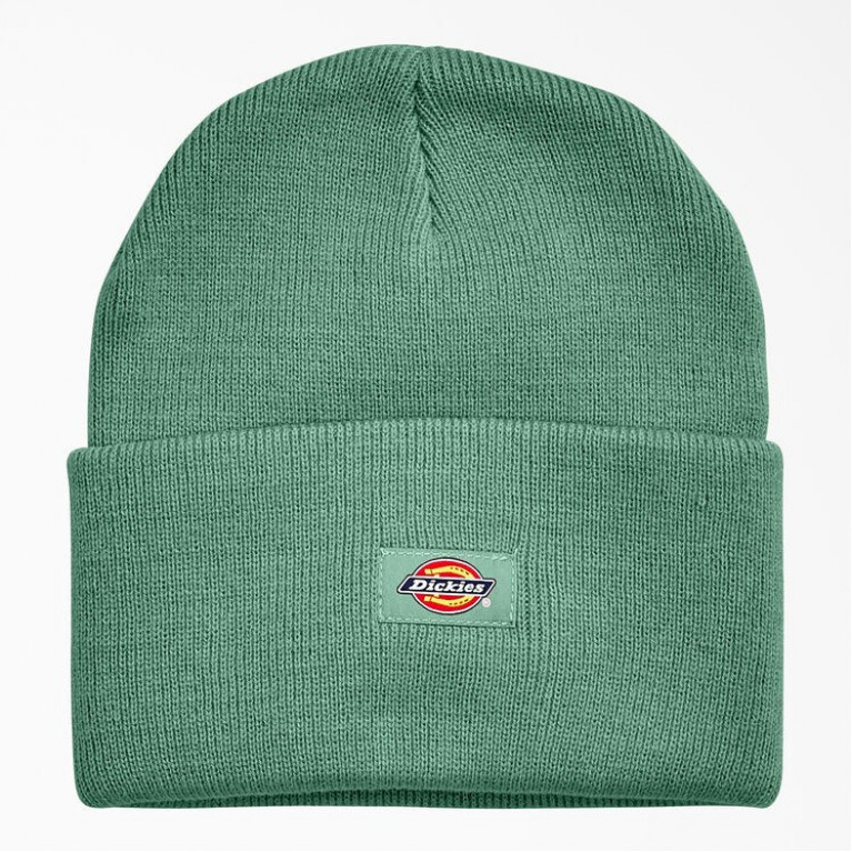 Шапка Dickies Acrylic Beanie Hat Knit Beanie Dark Ivy