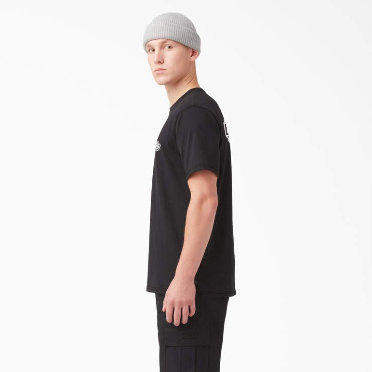 Футболка DICKIES HOLTVILLE SHORT SLEEVE TEE Black