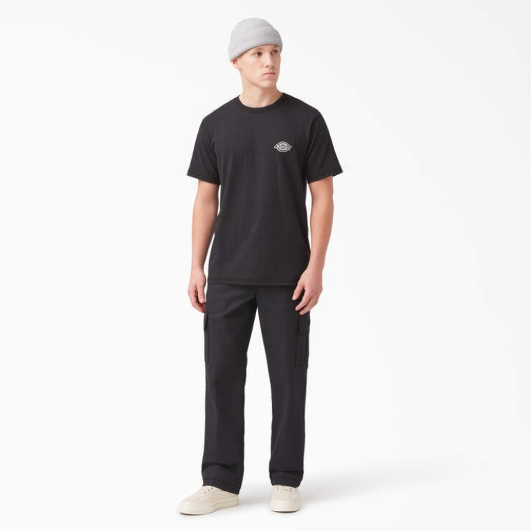 Футболка DICKIES HOLTVILLE SHORT SLEEVE TEE Black