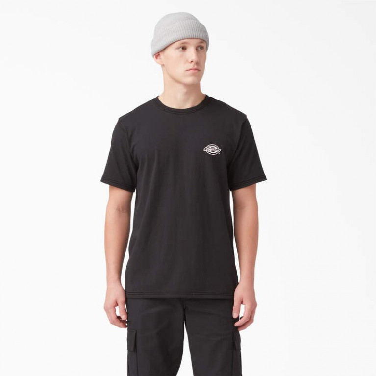 Футболка DICKIES HOLTVILLE SHORT SLEEVE TEE Black