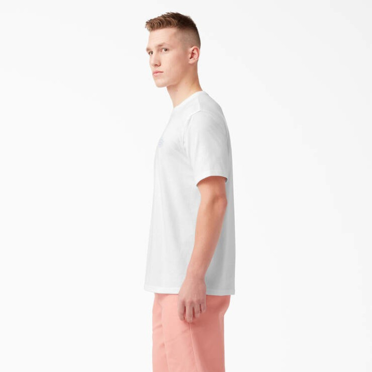 Футболка DICKIES HOLTVILLE SHORT SLEEVE TEE White