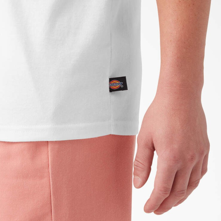 Футболка DICKIES HOLTVILLE SHORT SLEEVE TEE White