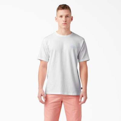 Футболка DICKIES HOLTVILLE SHORT SLEEVE TEE White